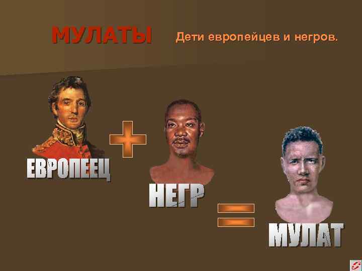 МУЛАТЫ Дети европейцев и негров. 