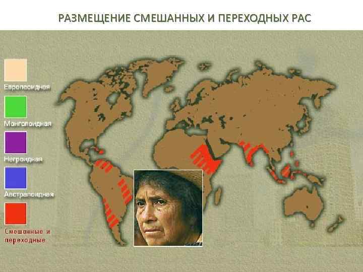 РАЗМЕЩЕНИЕ СМЕШАННЫХ И ПЕРЕХОДНЫХ РАС 