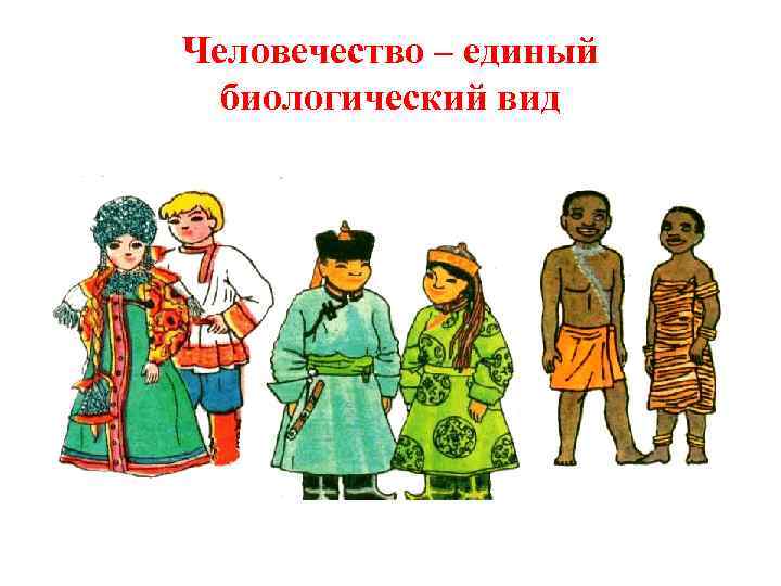 Человечество – единый биологический вид 