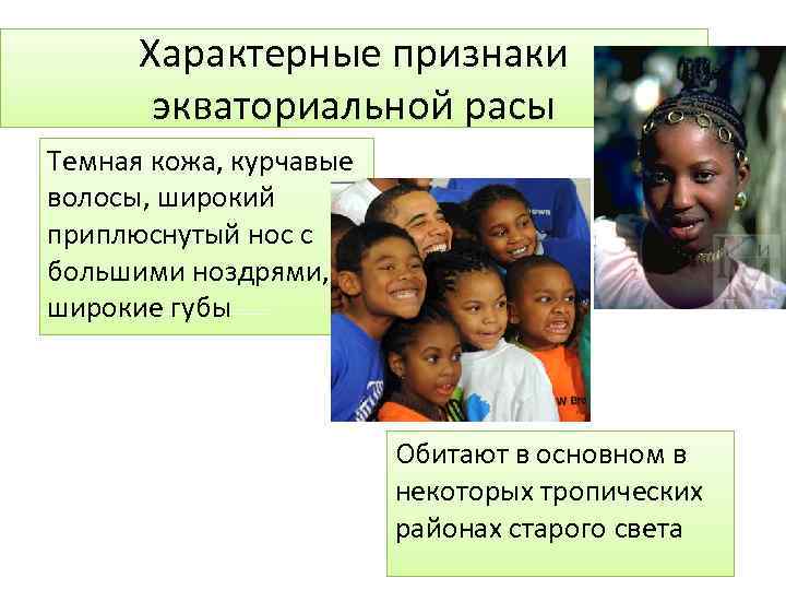 Характерные признаки экваториальной расы Темная кожа, курчавые волосы, широкий приплюснутый нос с большими ноздрями,