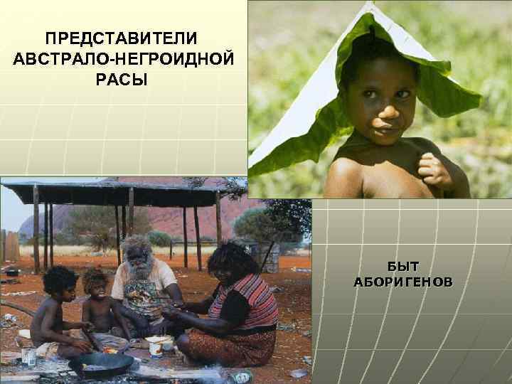 ПРЕДСТАВИТЕЛИ АВСТРАЛО-НЕГРОИДНОЙ РАСЫ БЫТ АБОРИГЕНОВ 