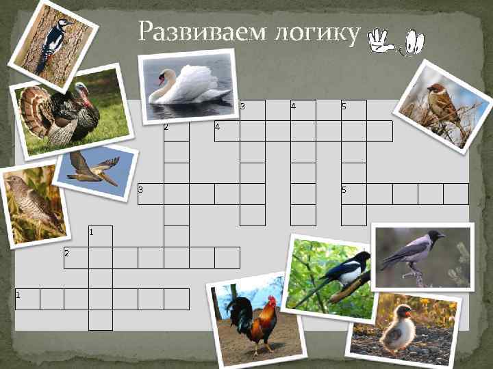 Развиваем логику 3 2 4 4 5 3 5 1 2 1 