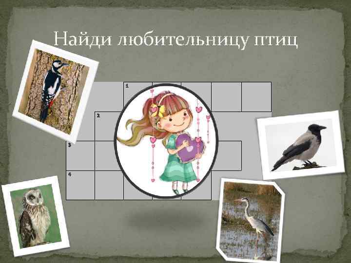 Найди любительницу птиц 1 2 3 4 