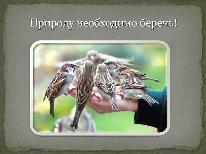 Природу необходимо беречь! 