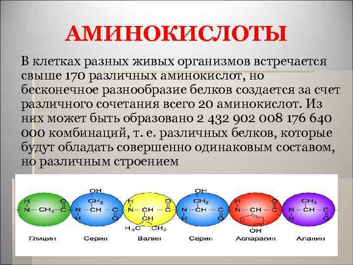 АМИНОКИСЛОТЫ В клетках разных живых организмов встречается свыше 170 различных аминокислот, но бесконечное разнообразие