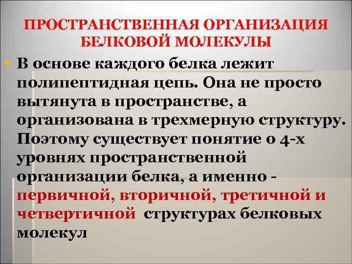 ПРОСТРАНСТВЕННАЯ ОРГАНИЗАЦИЯ БЕЛКОВОЙ МОЛЕКУЛЫ § В основе каждого белка лежит полипептидная цепь. Она не