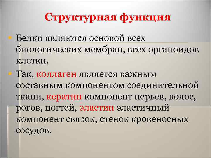 Структурная функция § Белки являются основой всех биологических мембран, всех органоидов клетки. § Так,