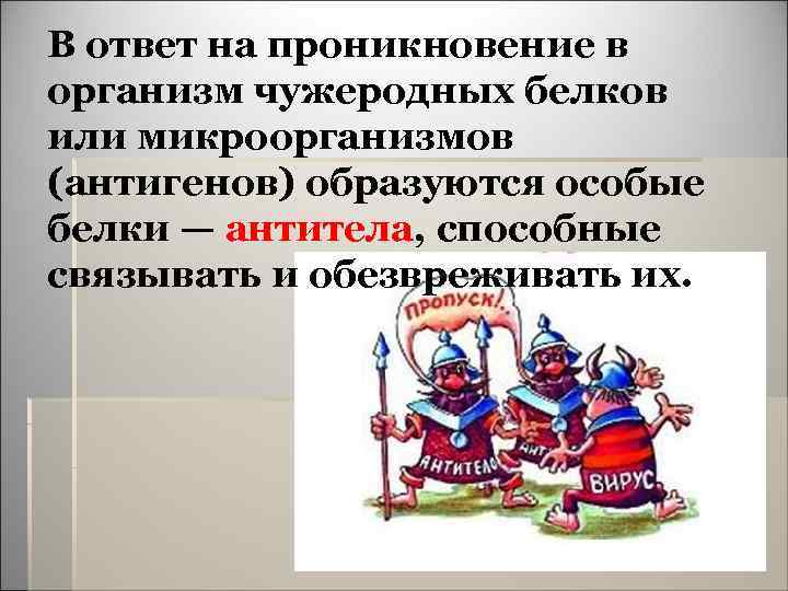 В ответ на проникновение в организм чужеродных белков или микроорганизмов (антигенов) образуются особые белки