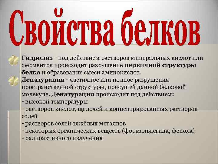 § Гидролиз - под действием растворов минеральных кислот или ферментов происходит разрушение первичной структуры