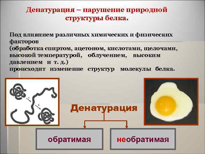 Денатурация – нарушение природной структуры белка. Под влиянием различных химических и физических факторов (обработка