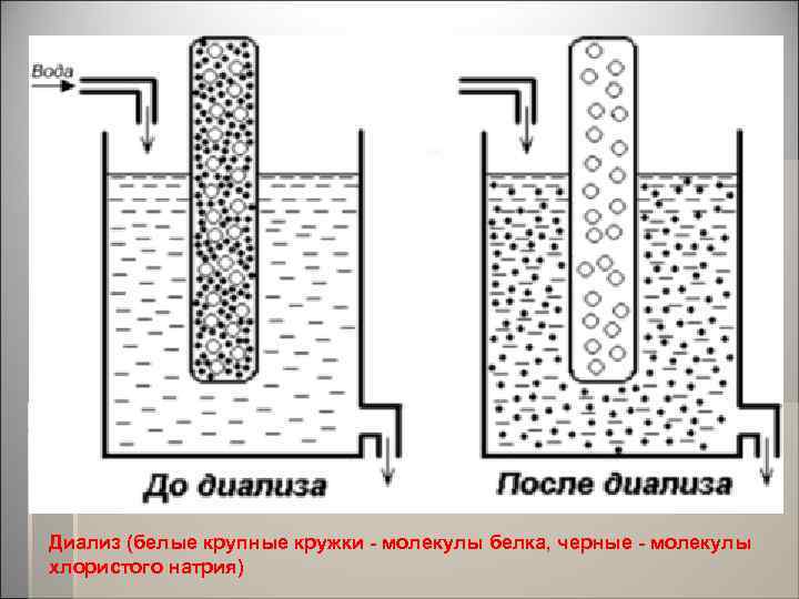 Диализ (белые крупные кружки - молекулы белка, черные - молекулы хлористого натрия) 