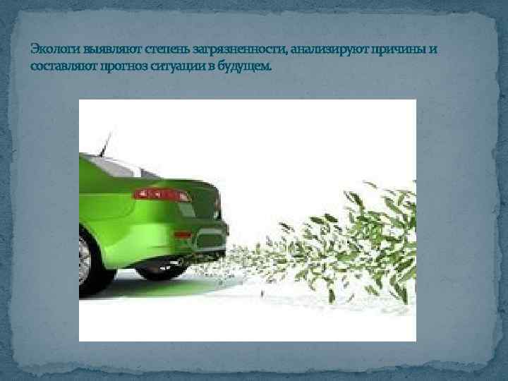 Экологи выявляют степень загрязненности, анализируют причины и составляют прогноз ситуации в будущем. 