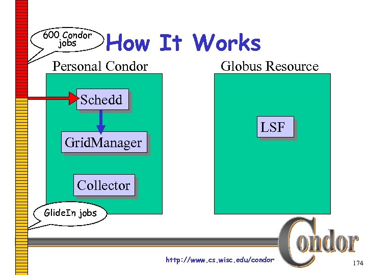 600 Condor jobs How It Works Personal Condor Globus Resource Schedd Grid. Manager LSF