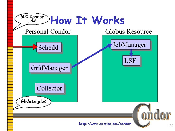 600 Condor jobs How It Works Personal Condor Globus Resource Schedd Job. Manager Grid.