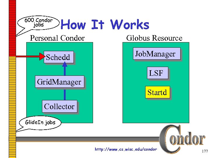 600 Condor jobs How It Works Personal Condor Globus Resource Schedd Job. Manager Grid.