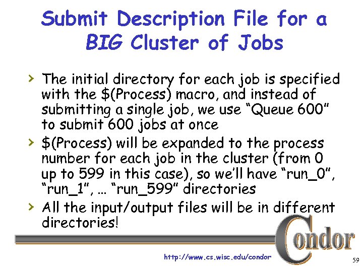 Submit Description File for a BIG Cluster of Jobs › The initial directory for