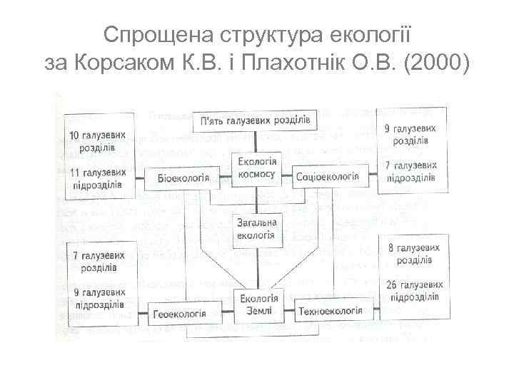 Спрощена структура екології за Корсаком К. В. і Плахотнік О. В. (2000) 