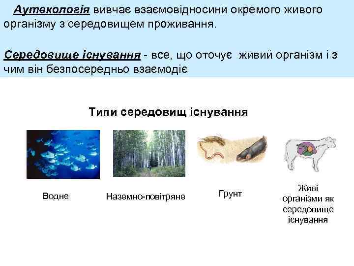 Аутекологія вивчає взаємовідносини окремого живого організму з середовищем проживання. Середовище існування - все, що