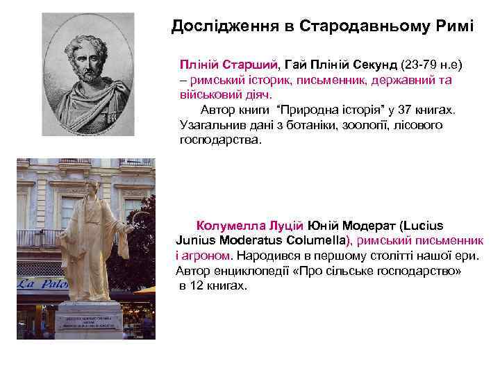 Дослідження в Стародавньому Римі Пліній Старший, Гай Пліній Секунд (23 -79 н. е) –