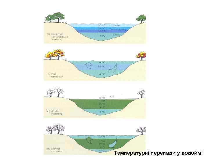  Температурні перепади у водоймі 