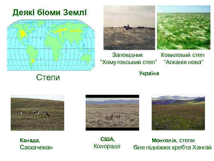 Деякі біоми Землі Степи Канада, Саскачеван Заповідник Ковиловий степ “Хомутовський степ” “Асканія нова” Україна
