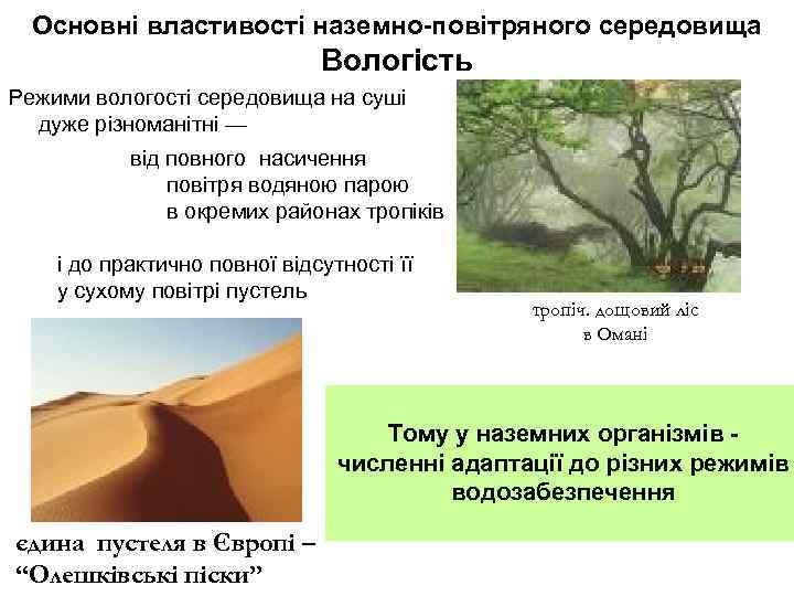 Основні властивості наземно-повітряного середовища Вологість Режими вологості середовища на суші дуже різноманітні — від