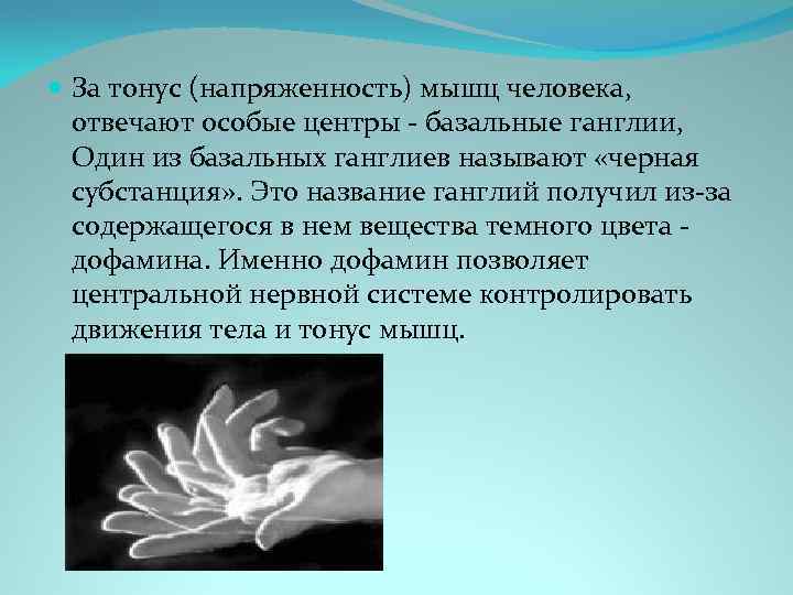  За тонус (напряженность) мышц человека, отвечают особые центры - базальные ганглии, Один из