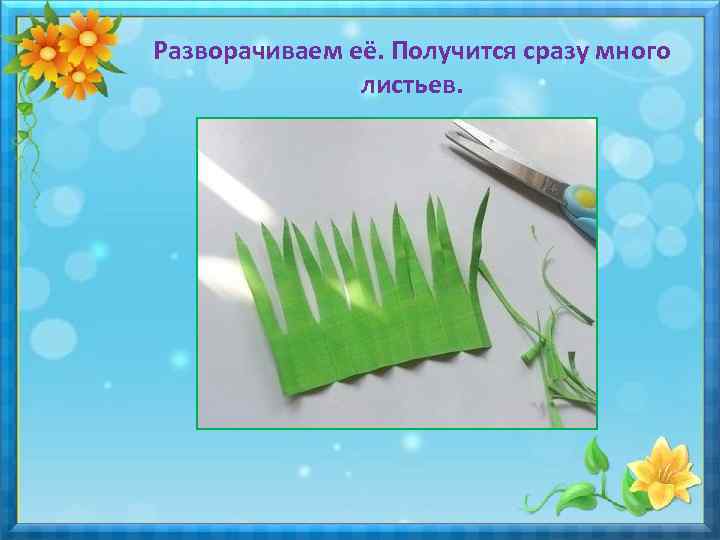 Разворачиваем её. Получится сразу много листьев. 