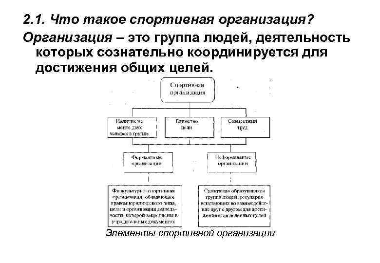 2. 1. Что такое спортивная организация? Организация – это группа людей, деятельность которых сознательно