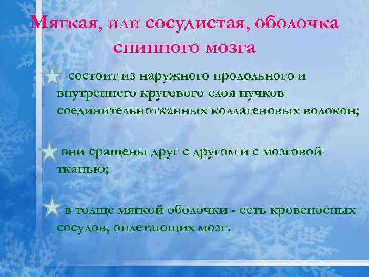 Мягкая, или сосудистая, оболочка спинного мозга состоит из наружного продольного и внутреннего кругового слоя