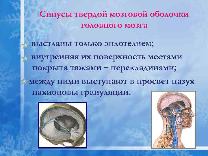 Синусы оболочки головного мозга. Синусы твердой мозговой оболочки. Венозные синусы твердой мозговой оболочки. Синусы твердой оболочки головного мозга анатомия. Синусы твёрдой мозговой оболочки гемодинамика.