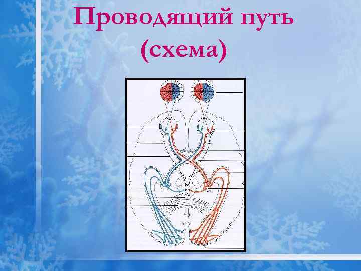 Проводящий путь (схема) 