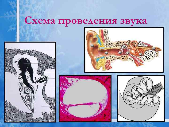 Схема проведения звука 