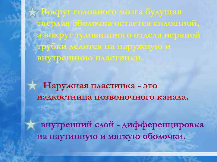 Вокруг головного мозга будущая твердая оболочка остается сплошной, а вокруг туловищного отдела нервной трубки