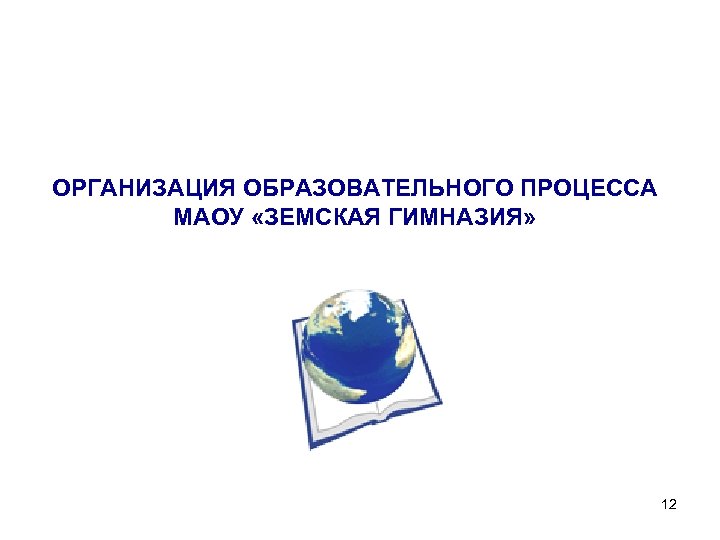 ОРГАНИЗАЦИЯ ОБРАЗОВАТЕЛЬНОГО ПРОЦЕССА МАОУ «ЗЕМСКАЯ ГИМНАЗИЯ» 12 