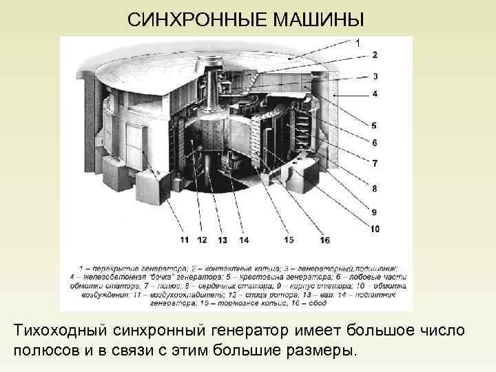 СИНХРОННЫЕ МАШИНЫ Тихоходный синхронный генератор имеет большое число полюсов и в связи с этим