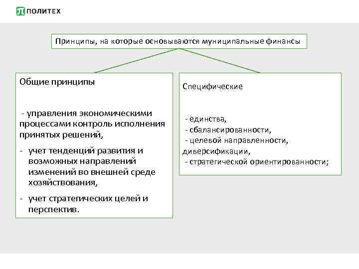 Муниципальные финансы. Принципы муниципальных финансов.