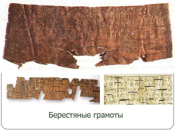 Берестяные грамоты 