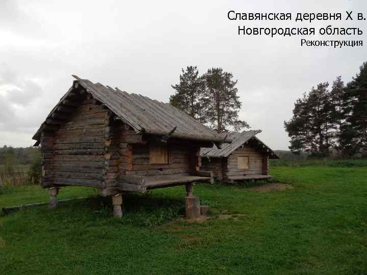 Славянская деревня Х в. Новгородская область Реконструкция 