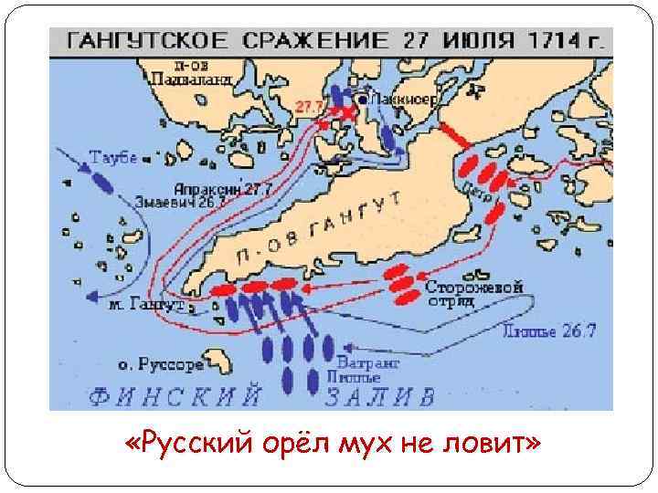  «Русский орёл мух не ловит» 