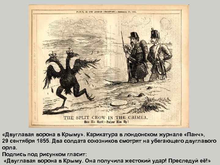  «Двуглавая ворона в Крыму» . Карикатура в лондонском журнале «Панч» , 29 сентября