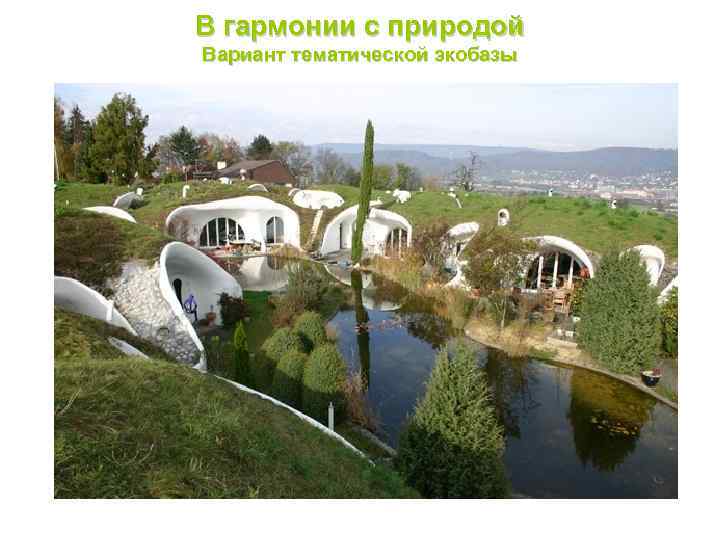 В гармонии с природой Вариант тематической экобазы 
