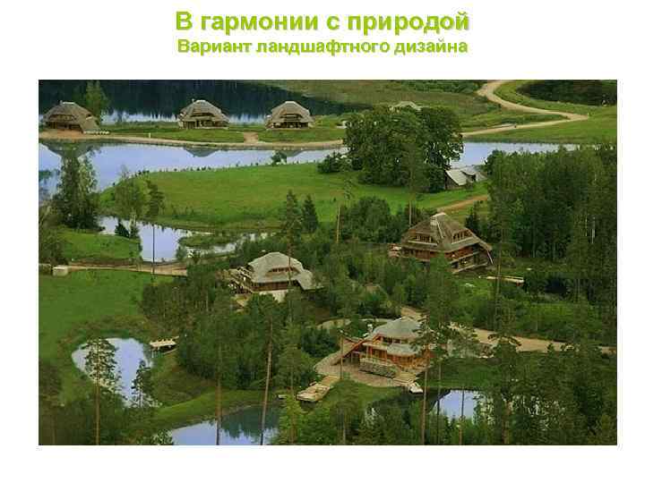 В гармонии с природой Вариант ландшафтного дизайна 