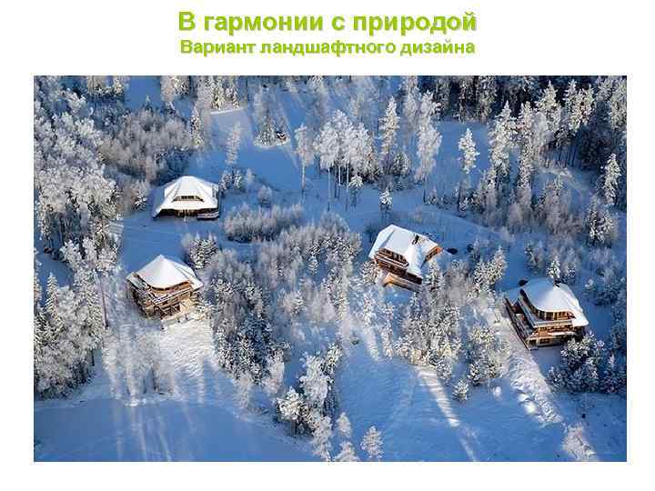 В гармонии с природой Вариант ландшафтного дизайна 