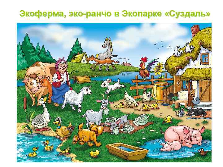 Экоферма, эко-ранчо в Экопарке «Суздаль» 