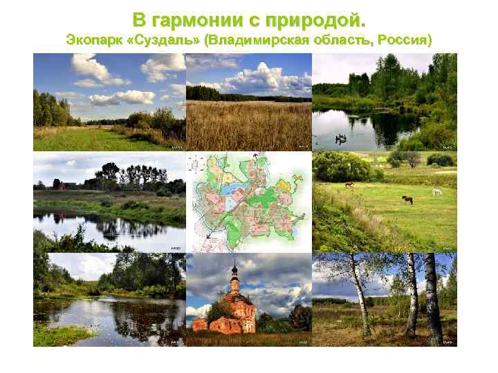 В гармонии с природой. Экопарк «Суздаль» (Владимирская область, Россия) 