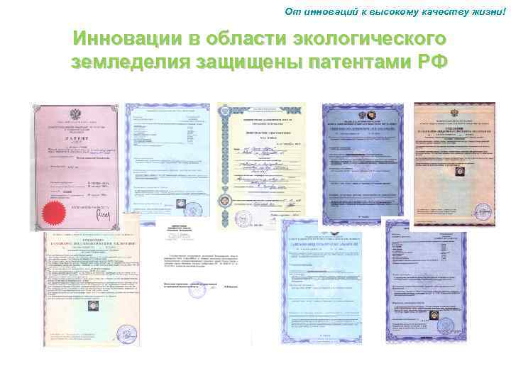 От инноваций к высокому качеству жизни! Инновации в области экологического земледелия защищены патентами РФ