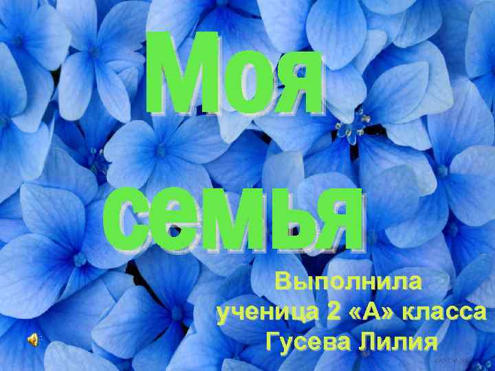 Моя семья Выполнила ученица 2 «А» класса Гусева Лилия 