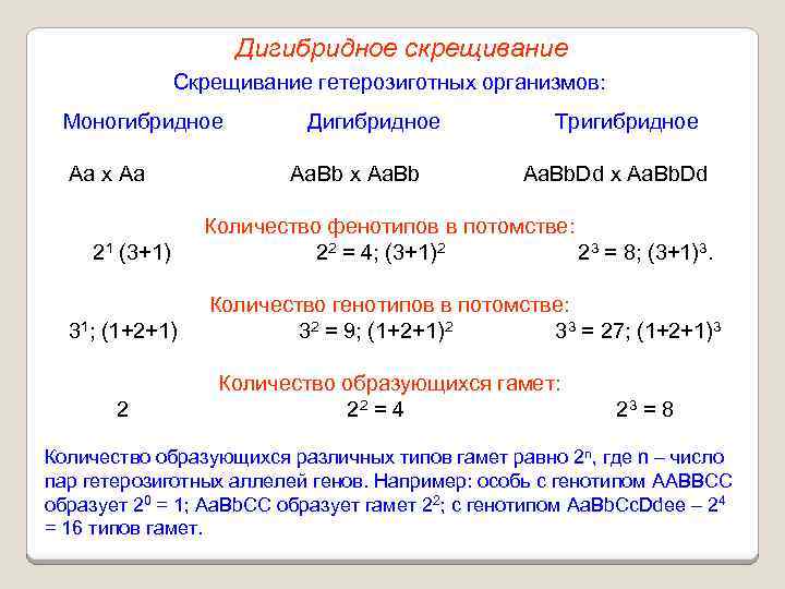 Дигибридное скрещивание Скрещивание гетерозиготных организмов: Моногибридное Аа х Аа 21 (3+1) 31; (1+2+1) 2