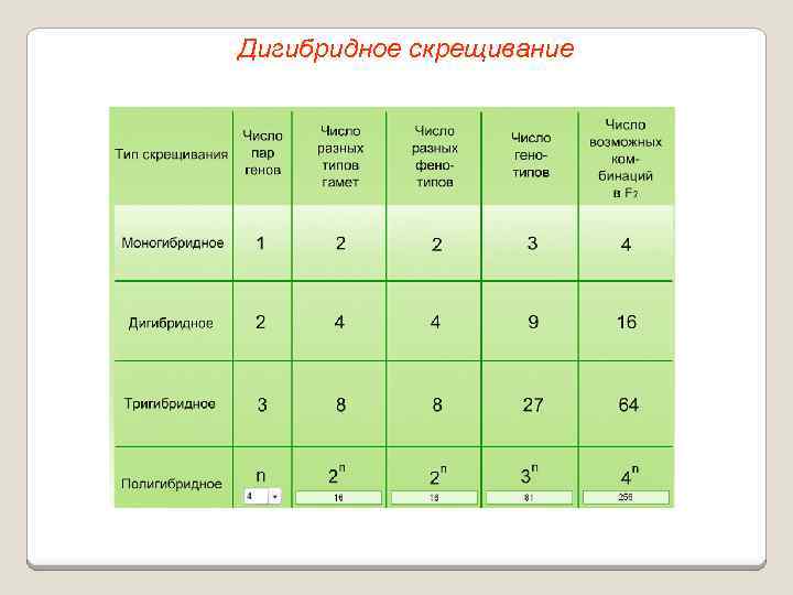 Дигибридное скрещивание 